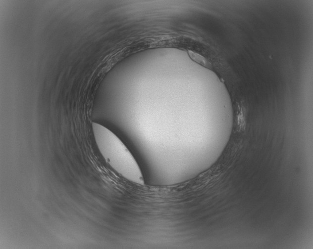 X0000077310819200610200839