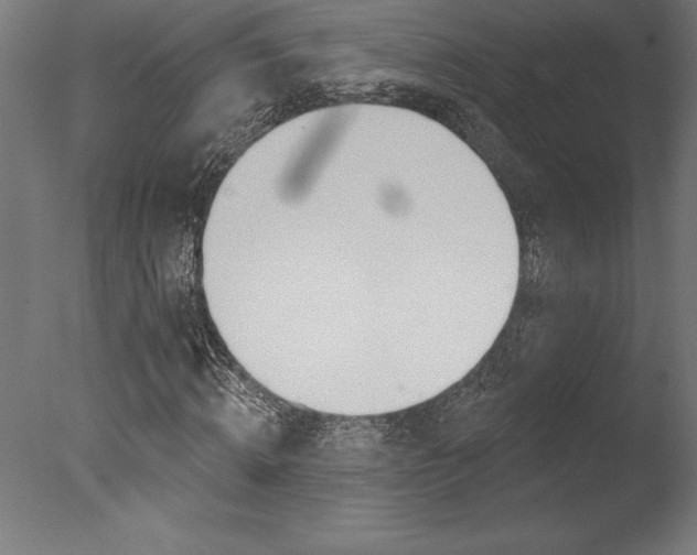 X0000077310820200610200839
