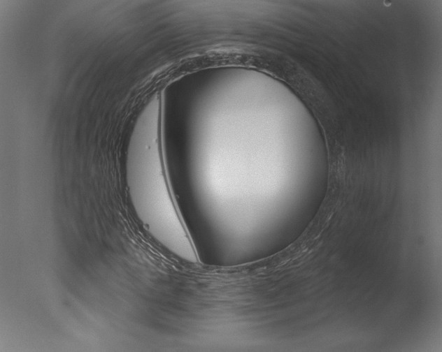 X0000077310821200610200839