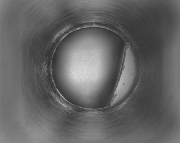X0000077310826200610200839
