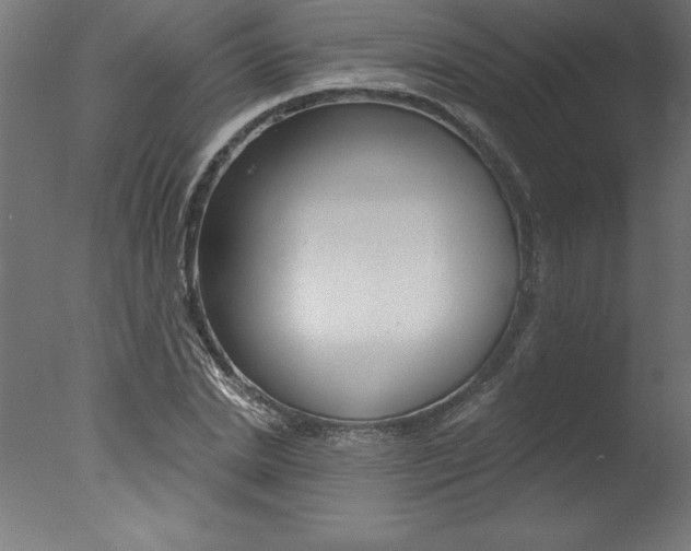X0000077310830200610200839