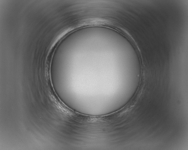 X0000077310835200610200839