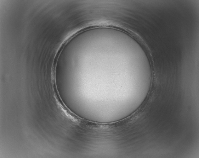 X0000077310839200610200839