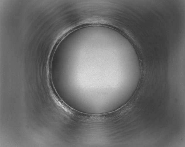 X0000077310840200610200839