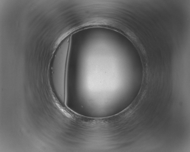X0000077310842200610200839