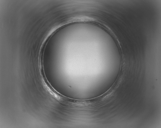 X0000077310843200610200839