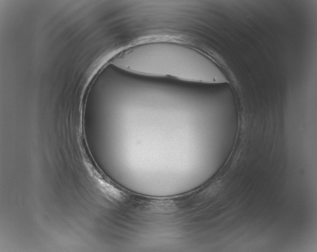 X0000077310844200610200839