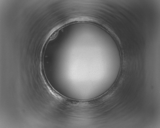 X0000077310845200610200839