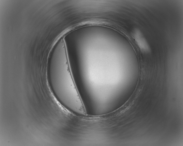 X0000077310853200610200840