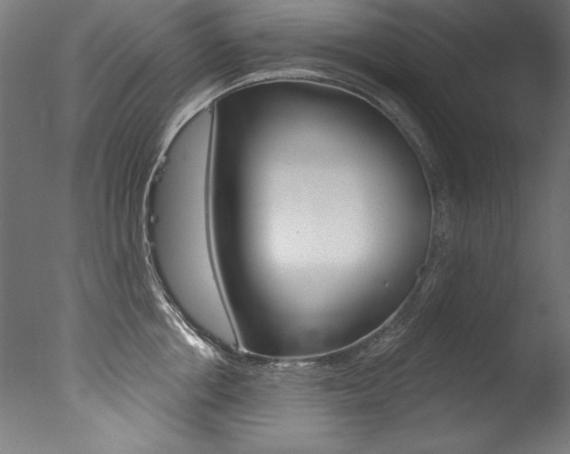 X0000077310858200610200840