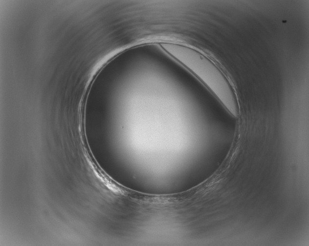 X0000077310862200610200840