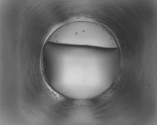 X0000077310863200610200840