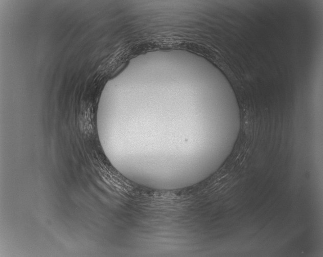 X0000077310866200610200839