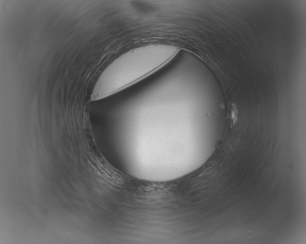 X0000077310867200610200839