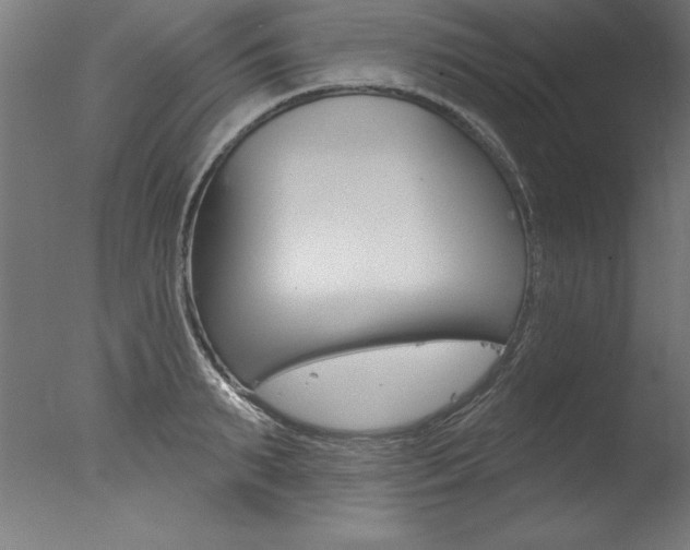X0000077310895200610200838