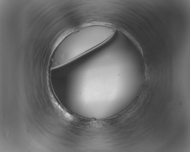 X0000077310906200610200838