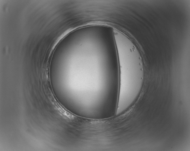 X0000077310908200610200838