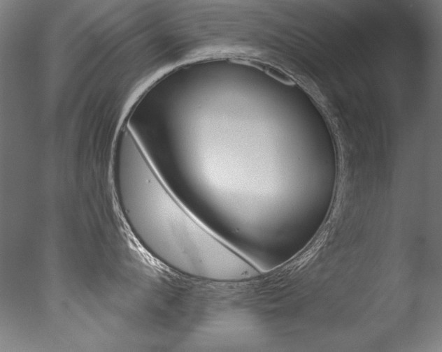 X0000077310912200610200838