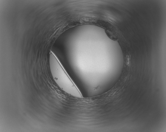 X0000077310915200610200837