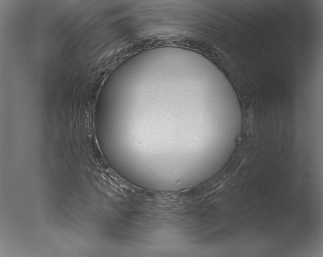X0000077310917200610200837