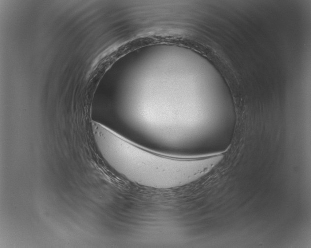 X0000077310920200610200837
