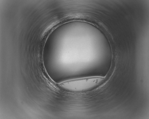 X0000077310922200610200837