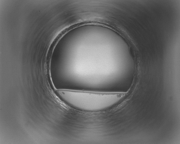 X0000077310924200610200837