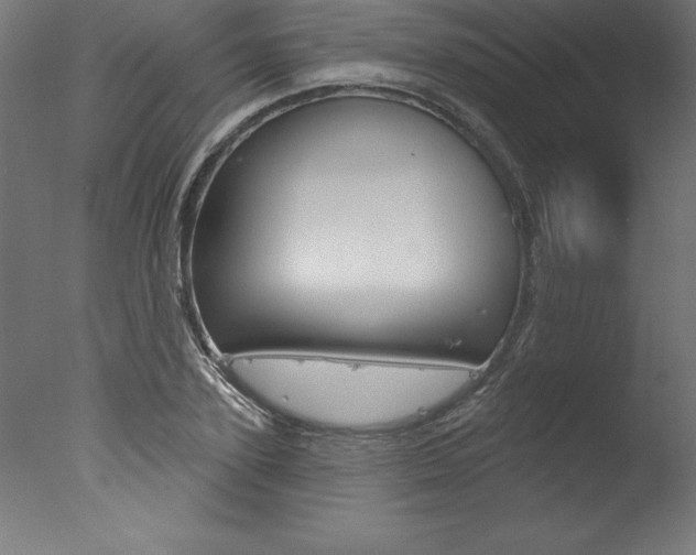 X0000077310931200610200838