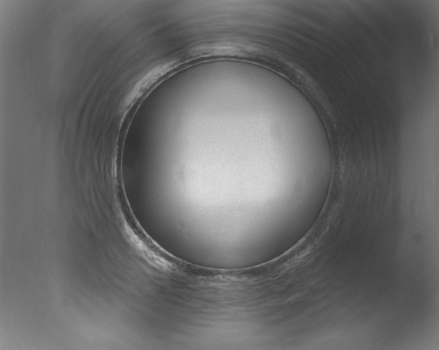 X0000077310938200610200838