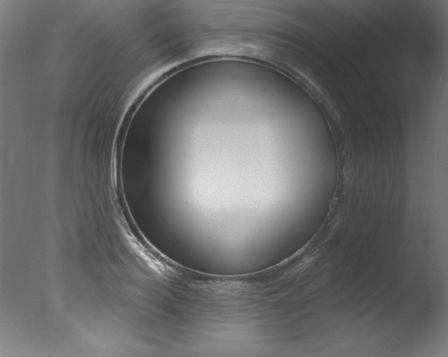 X0000077310940200610200838