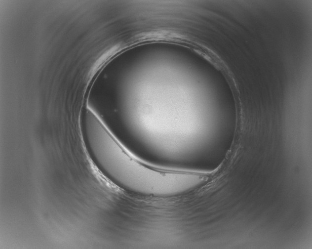 X0000077310946200610200838