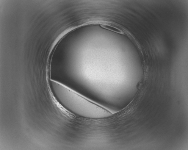 X0000077310955200610200838