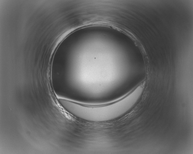 X0000077310956200610200838