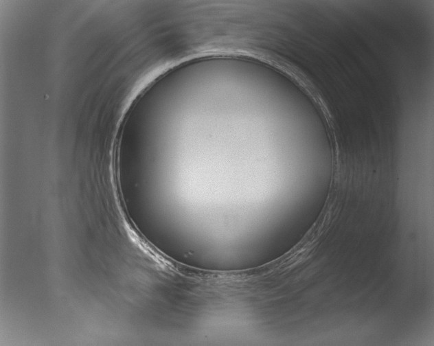 X0000077310958200610200838