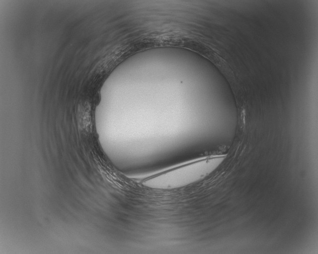 X0000077310963200610200837