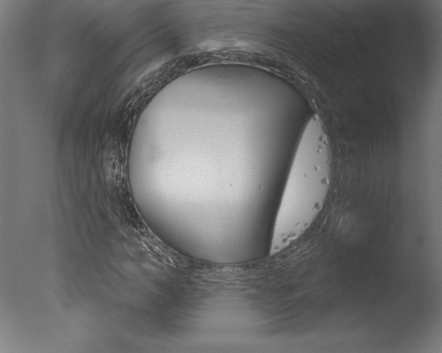 X0000077310966200610200837