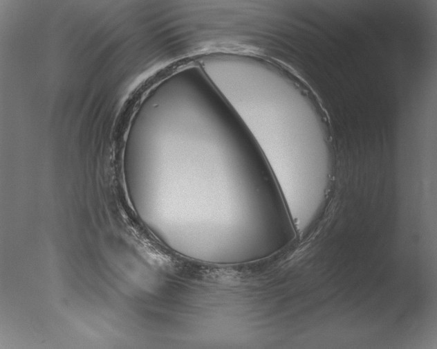 X0000077310971200610200837