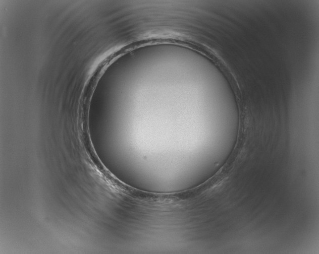 X0000077310979200610200837