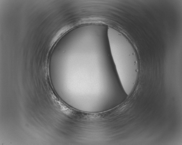 X0000077310994200610200837