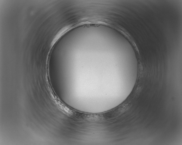 X0000077311002200610200837