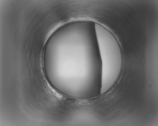 X0000077311006200610200837