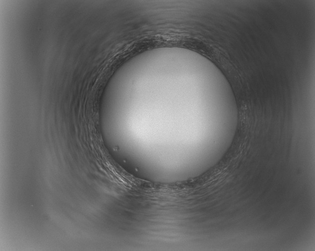 X0000077311009200610200836