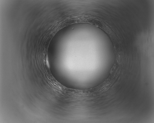 X0000077311010200610200836