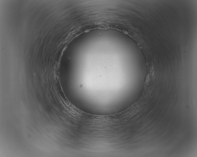 X0000077311012200610200836