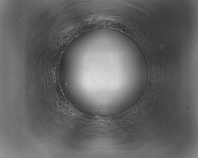X0000077311013200610200836