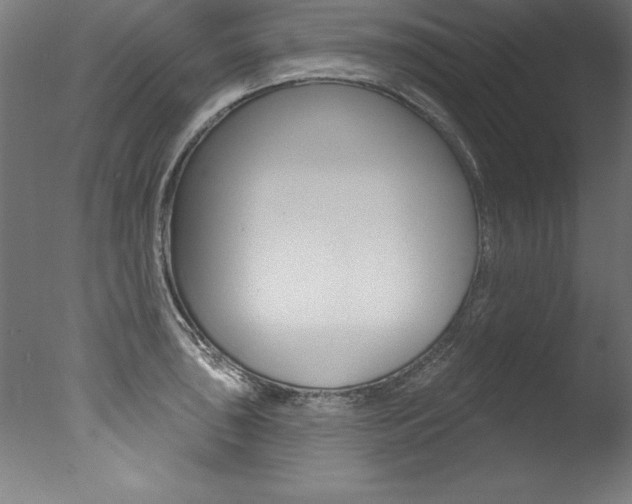 X0000077311043200610200836