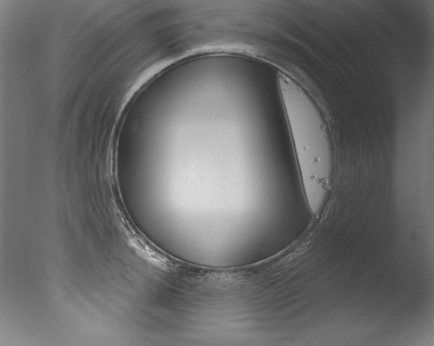 X0000077311044200610200836