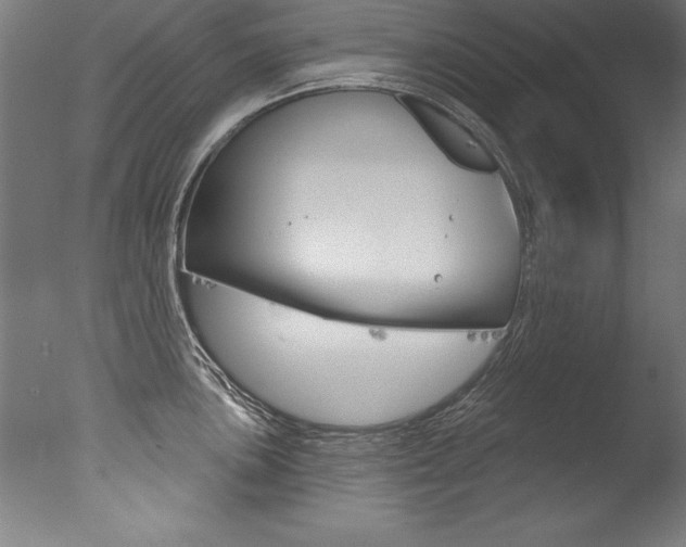 X0000077311051200610200836
