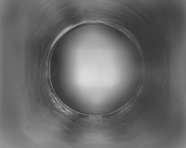 X0000077311052200610200836