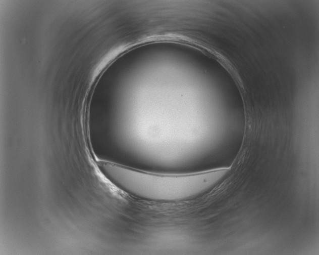 X0000077311054200610200836